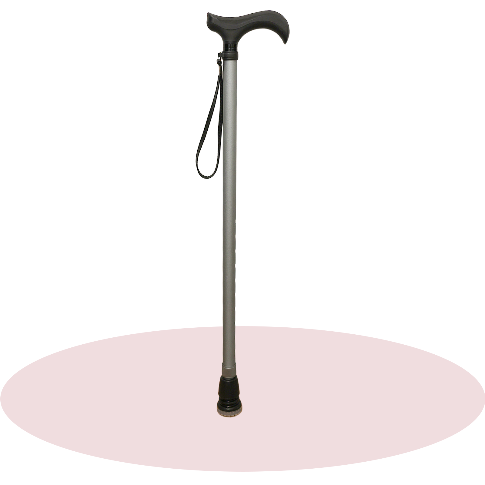 Silver Grey Walking Stick
